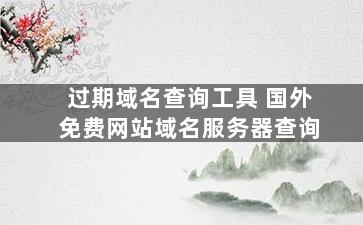 过期域名查询工具 国外免费网站域名服务器查询